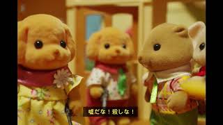 第十話　助けて！トイプードル姐さん！