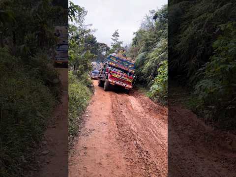 Chivas la jakeline y la soberana en Amalfi Antioquia cargadas de #café y campesinos #campo #chivas