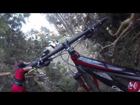 Pista Tagliafuoco della Costiera dei Cech