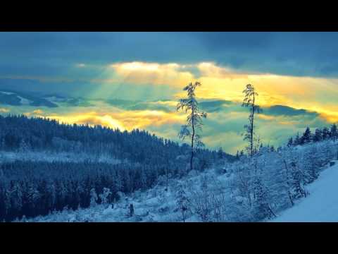 Ikerya Project  - Consciousness [Red Zone] @FSOE 373