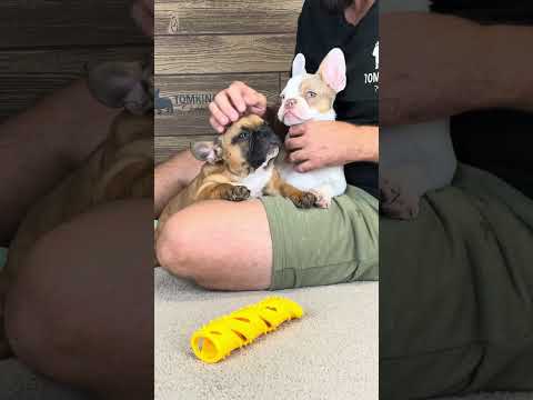 Video 6