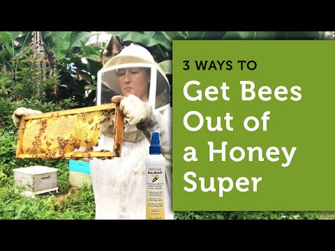 3 Ways to Get Bees Out of a Honey Super | How to Harvest Honey | Beekeeping for Beginners