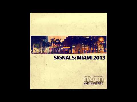 Mixed Signals Music - Leandro P Featuring MJ White "In The Dance"