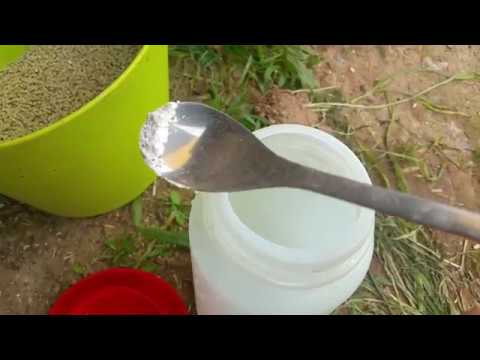 Windeier / Tipp: Schlämmkreide