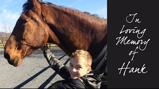 In Loving Memory of Hank | Crazy8Family
