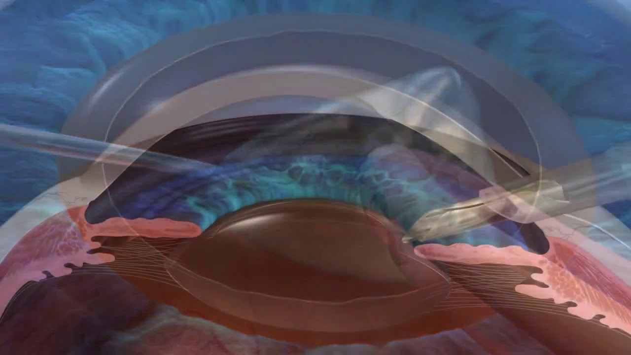 Guillermo García De La Rosa-12