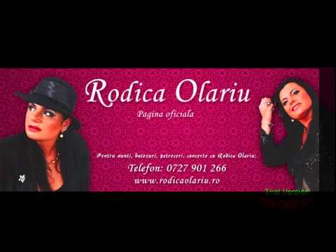 Rodica Olariu- Ai plecat