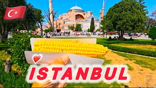 🇹🇷СТАМБУЛ ЧТО ПОСМОТРЕТЬ ⁉️ HOTEL TULIP HOUSE 3* Istanbul / Площадь Султанахмед 