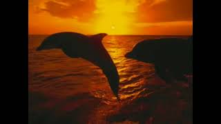 Alejandro Lerner-Juntos para Siempre (letra).