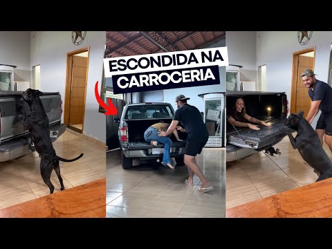 ESCONDE-ESCONDE COM MEU CACHORRO: ESCONDIDA DENTRO DA CARROCERIA DA CAMINHONETE 🙈 fiquei presa 🥲