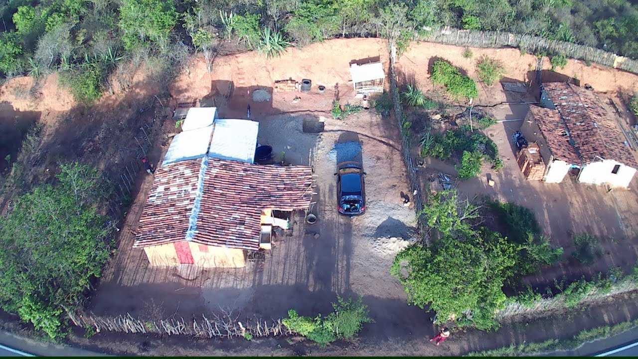 29 de janeiro de 2025