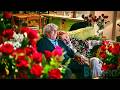 The Last First Kiss | ROMANCE | Full Movie in English
