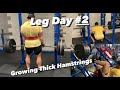 The Rebound Ep: 5 | Hamstrings Focused Leg Workout