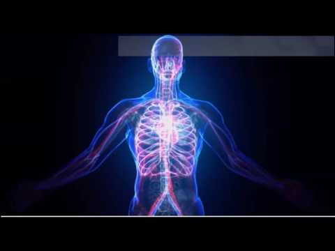 2016 09 22 PM Public Teaching in French - Enseignements publics en français