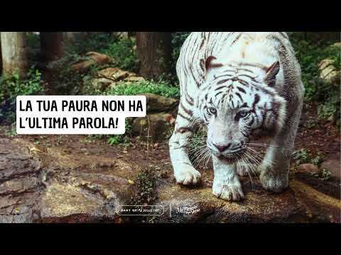 La tua paura non ha l’ultima parola. | Un miracolo ogni giorno.