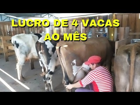 , title : 'Quanto Consigo Lucrar com 4 Vacas de Leite/Pecuária Leiteira para Iniciantes'