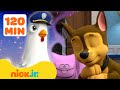 PAW Patrol Pups Have Weird Dreams 2 W Chase Chickaletta 2 Hours Nick Jr