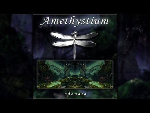 Amethystium | Odonata