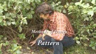 Introduction to Permaculture