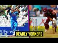 8 Bowlers Who Mastered The Art Of The Yorker Part 2