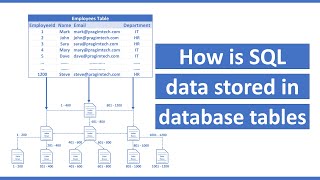 How is data stored in sql database