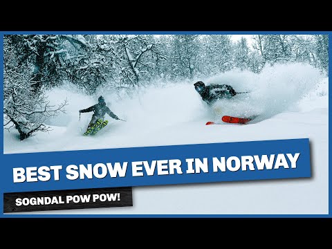 Sogndal POW POW: Best snow ever in Norway