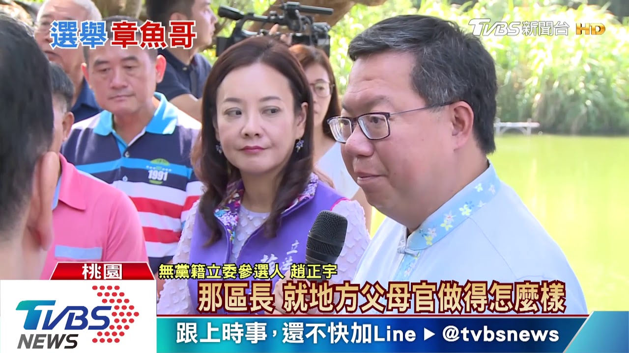 桃園也有「章魚哥」大溪投票率神準預測總統選舉