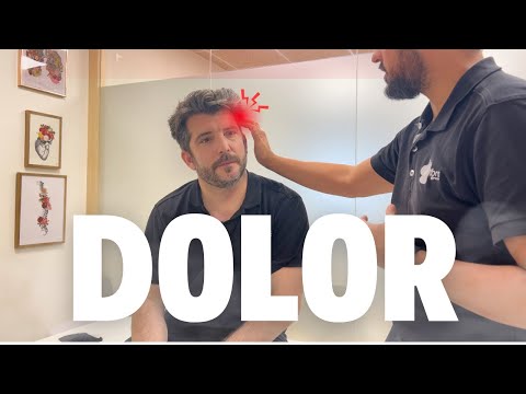 DE DONDE VIENE MI DOLOR DE CABEZA? 🧐