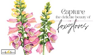 OUTLINE AVAILABLE! Painting with Passion and Purpose: How to Paint Jaw Dropping Watercolor Foxgloves