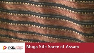 Weaving the Muga Silk Saree of Assam