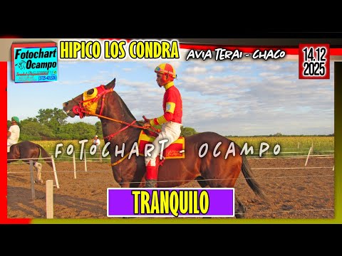 TRANQUILO Avia Terai CH 14 12 2025