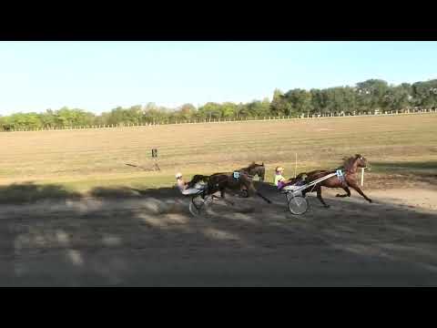 Srbobran-29.10.2023, Armani B & A. Horvatski