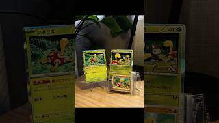 Shuckle / ツボツボ
