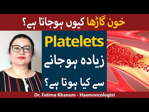 Platelets Ka Zyada Hona | Platelets Count Zayda Ho To Kya Hota Hai? | High Platelets Count
