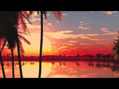 Fons Vandervorst keyboard solo - Low Blow