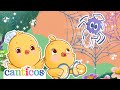 La Arañita Chiquitita ️ Canciones Infantiles Para Bebés Spanish Nursery Rhymes Canticos