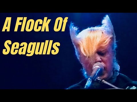 A Flock of Seagulls - Live Concert 1982 HD