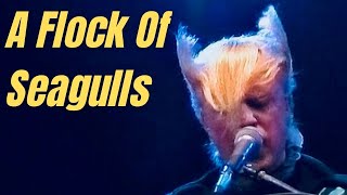 A Flock of Seagulls - Concert 1982 HD