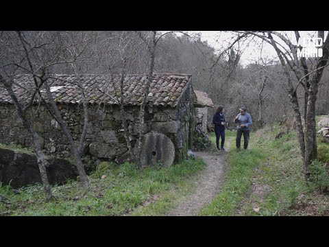 Aos 88 anos, Manuel Barbosa é um dos poucos moleiros do Alto Minho | Altominho TV