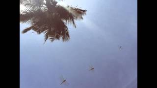 Arthur's Landing - This Is How We Walk On The Moon: The Way Things Happen