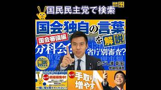 国民民主党  サブチャンネル 国会言葉 4月13日