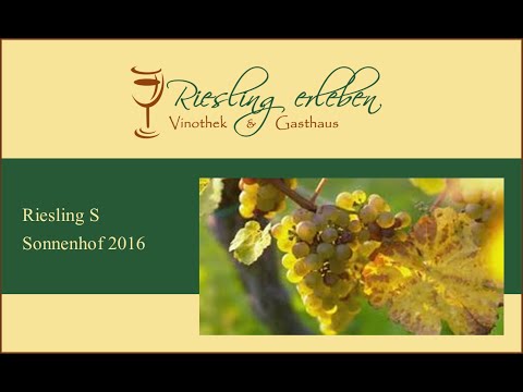 Riesling Weinprobe Riesling S Sonnenhof