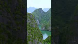 Amazing Catba Island #shorts #vietnam #catbabay #blueswimmeradventures