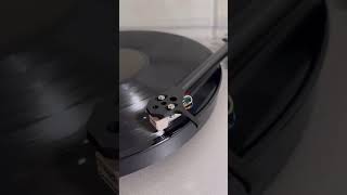 lunar sea - camera obscura #cameraobscura #vinyl #popularshorts #music