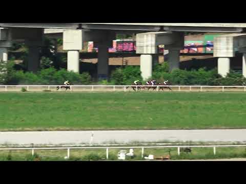 12.6.2022 - Trka II - AEGEAN WARNING - Hipodrom Beograd