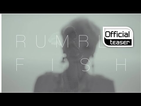 [Teaser 2] Rumble Fish(럼블피쉬) _ The virulent song(몹쓸 노래)