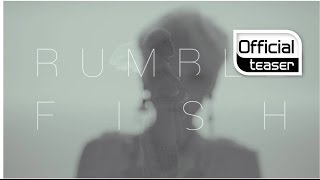 [Teaser 2] Rumble Fish(럼블피쉬) _ The virulent song(몹쓸 노래)