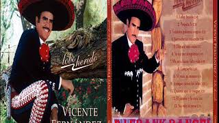 vicente fernandez aunque pasen los años (dj frank rangel)