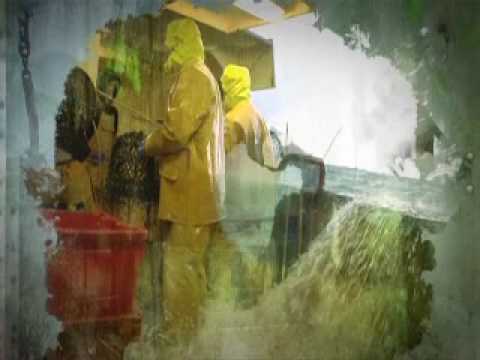 Skippers david price