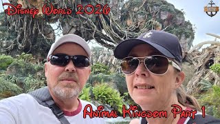 Disney Worlds Animal Kingdom Part 1